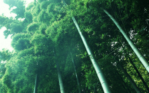 448295 (a): :1920x1200